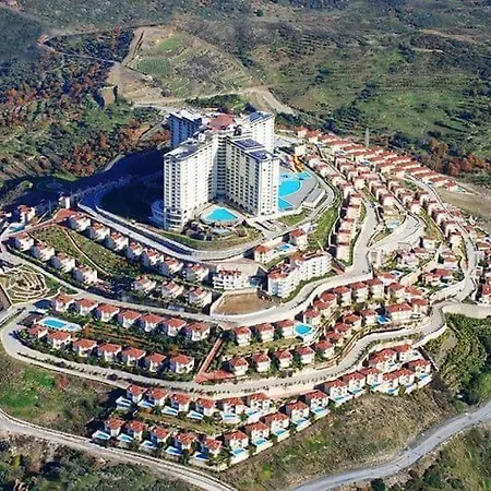 Gold City 1 *